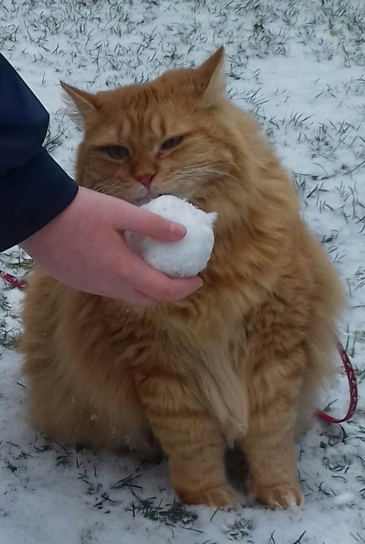 Max