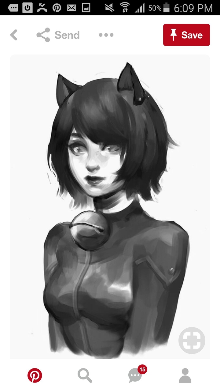 think of this =character  cat noir + lady bug= lady noir