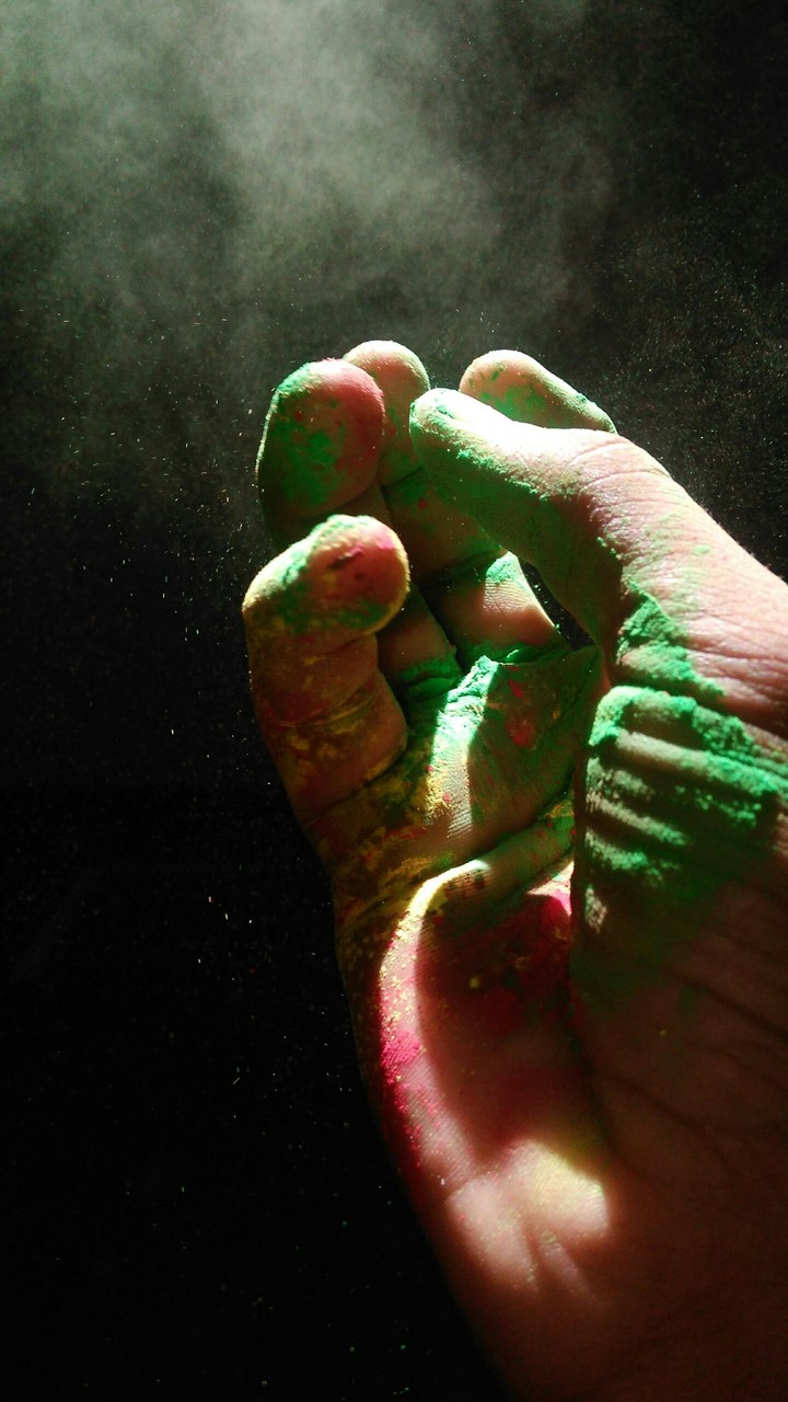 holi