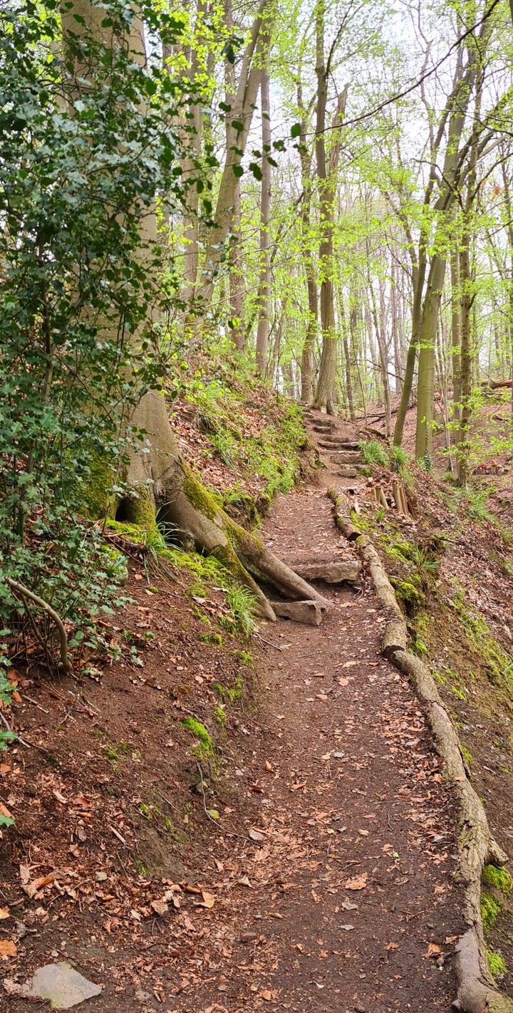 Wanderweg Patensteig