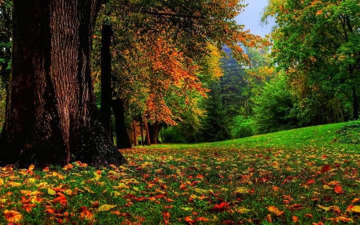 fall