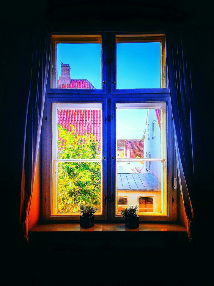 Window of the dreams
