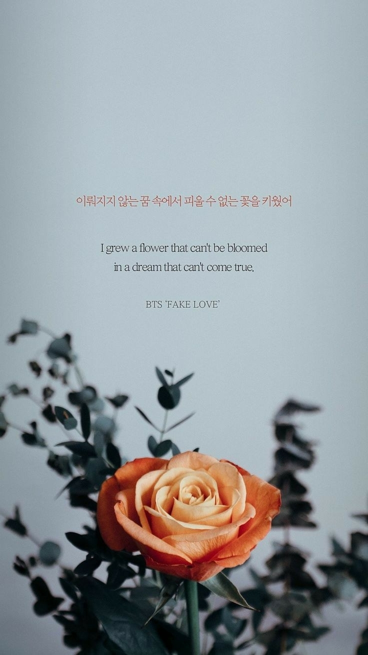Fake Love