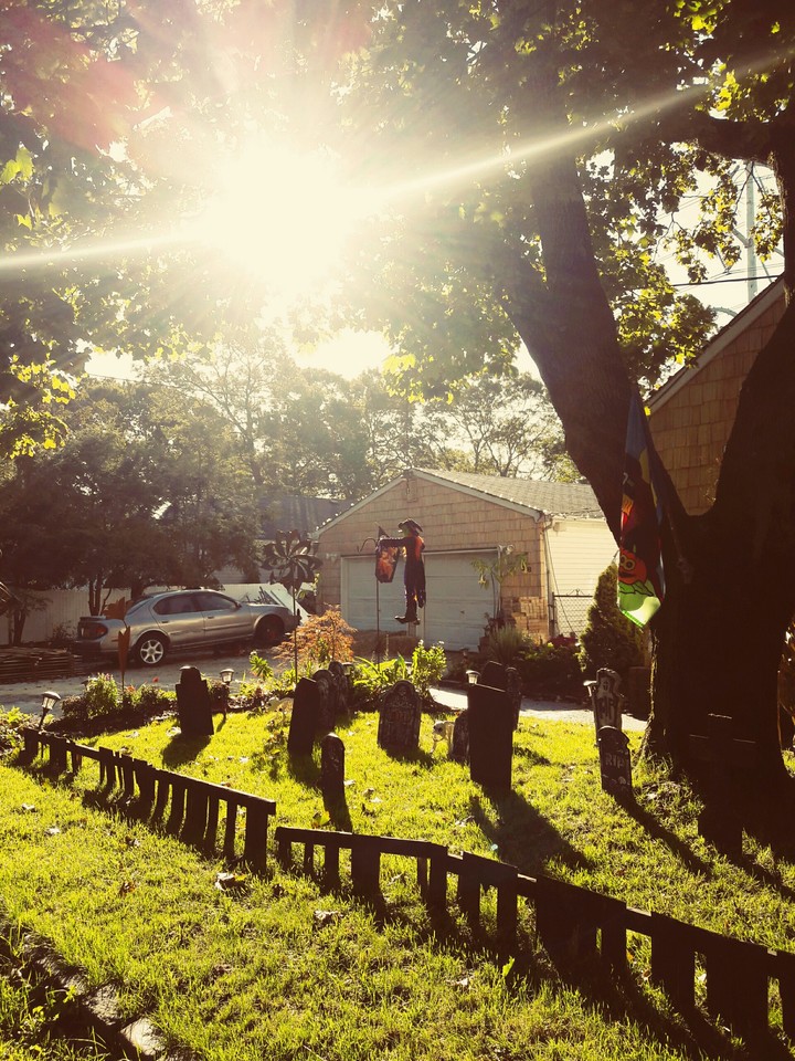 Sunny October Morning