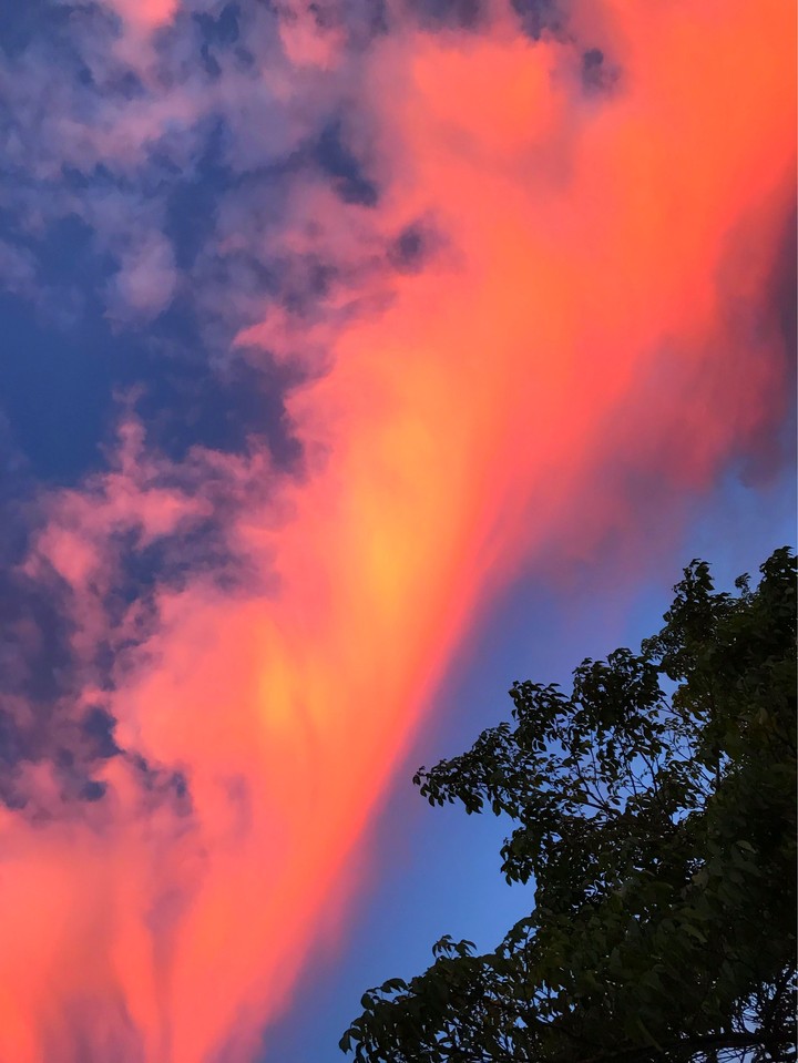 SKY morning