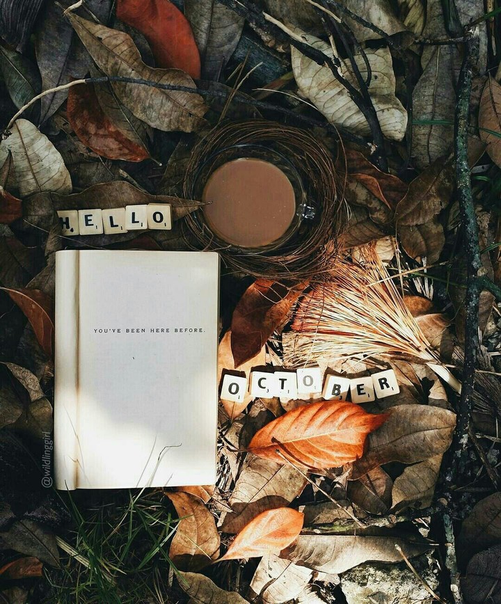 autumn story book