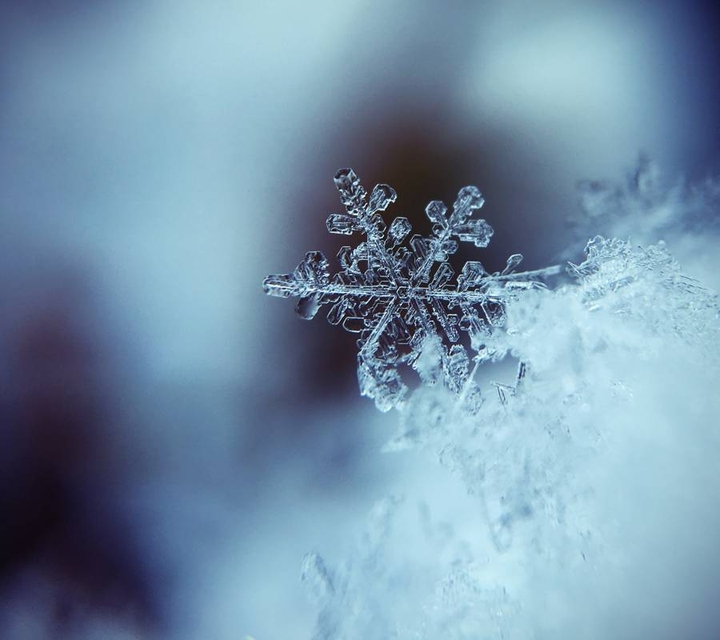 i love this winter