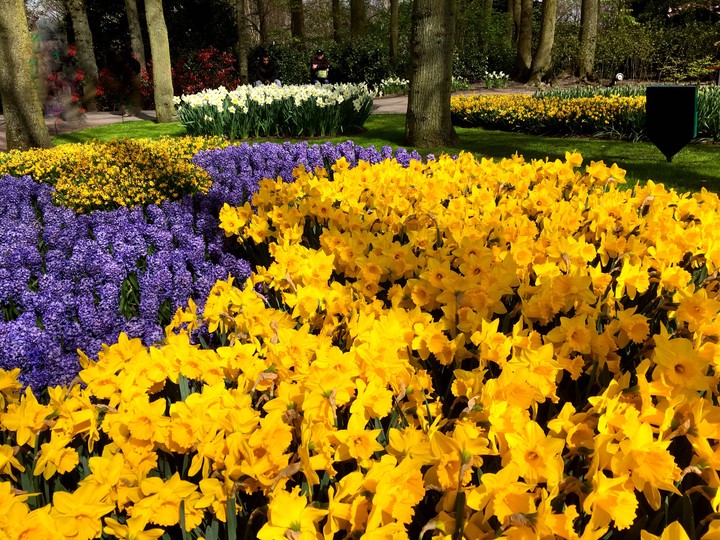 Holland