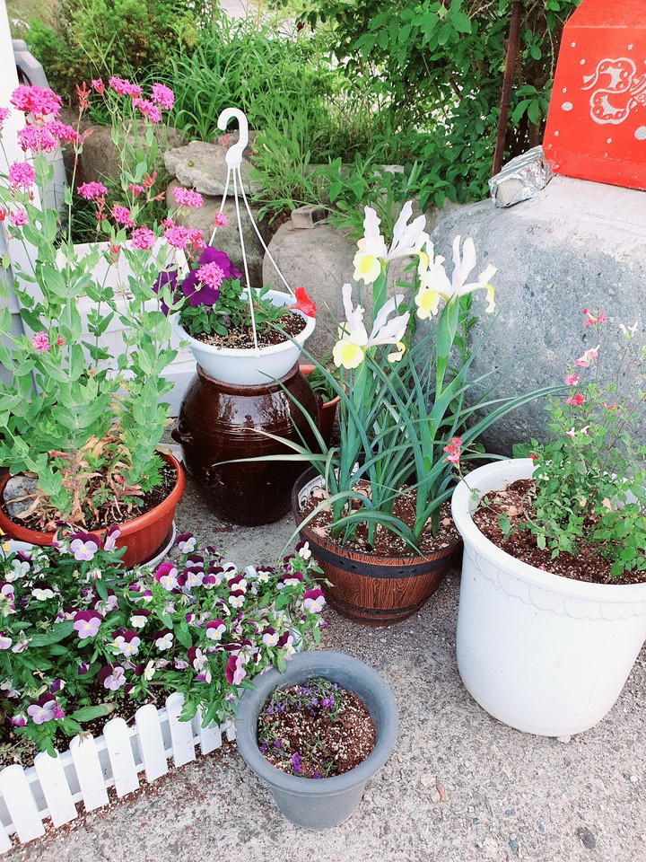 garden