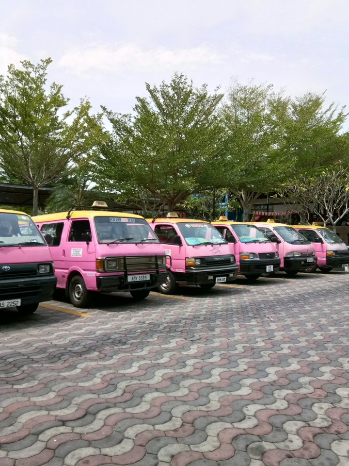 A Cute Van
