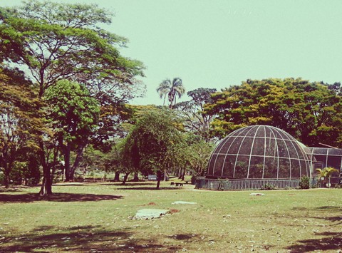 Zoológico - Brasília