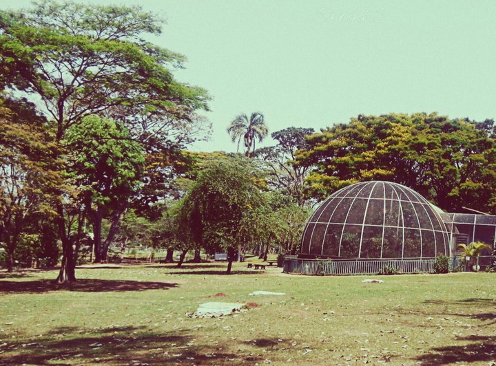 Zoológico - Brasília