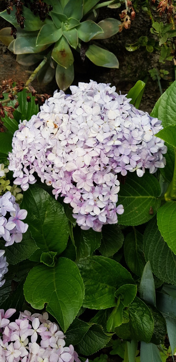 nature love