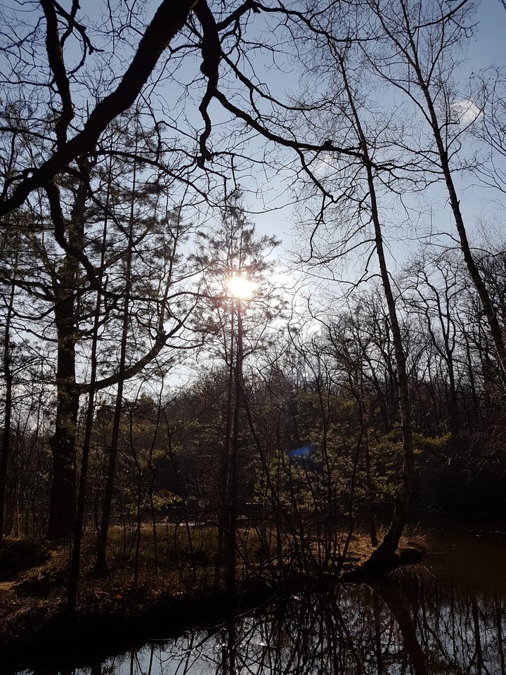 Natur