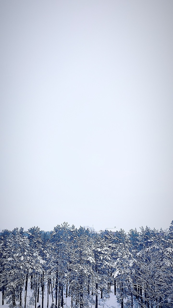Snow background ❄❄