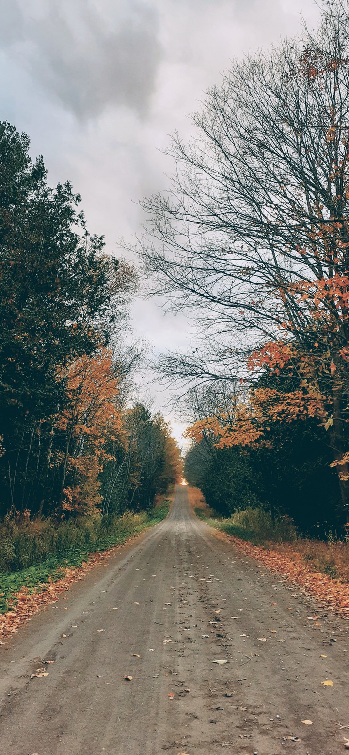 Autumn Street