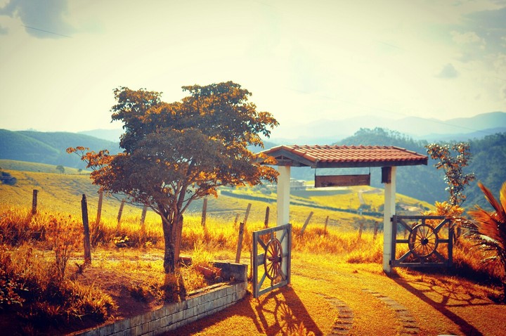 Campo