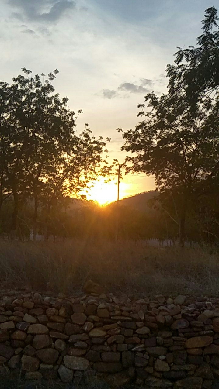 sun set beauty