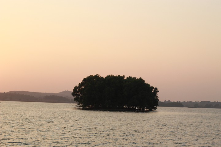 Nature in magic hours
