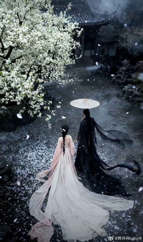 fonds d'écran bride, veil
