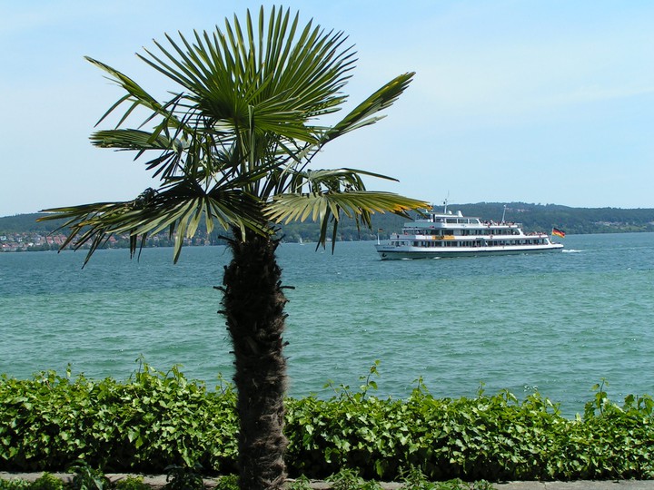 Bodensee Insel Mainau 2006