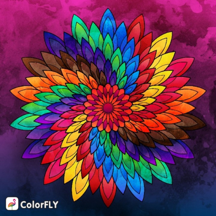 MANDALA❤️❤️❤️
