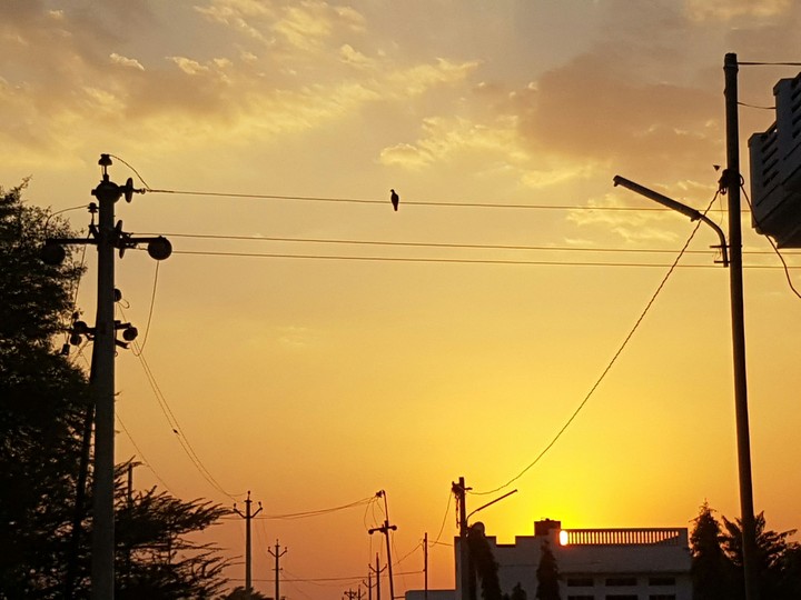 sunset