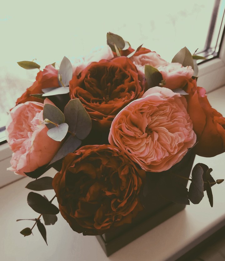 flowerbox