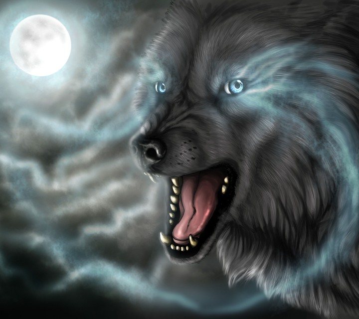 wolf
