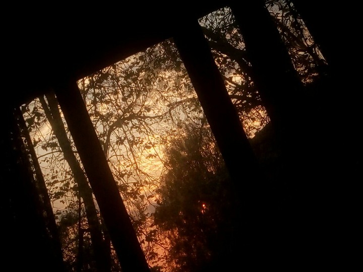 •sunset