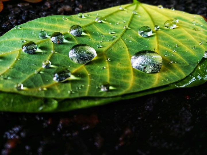 Droplets