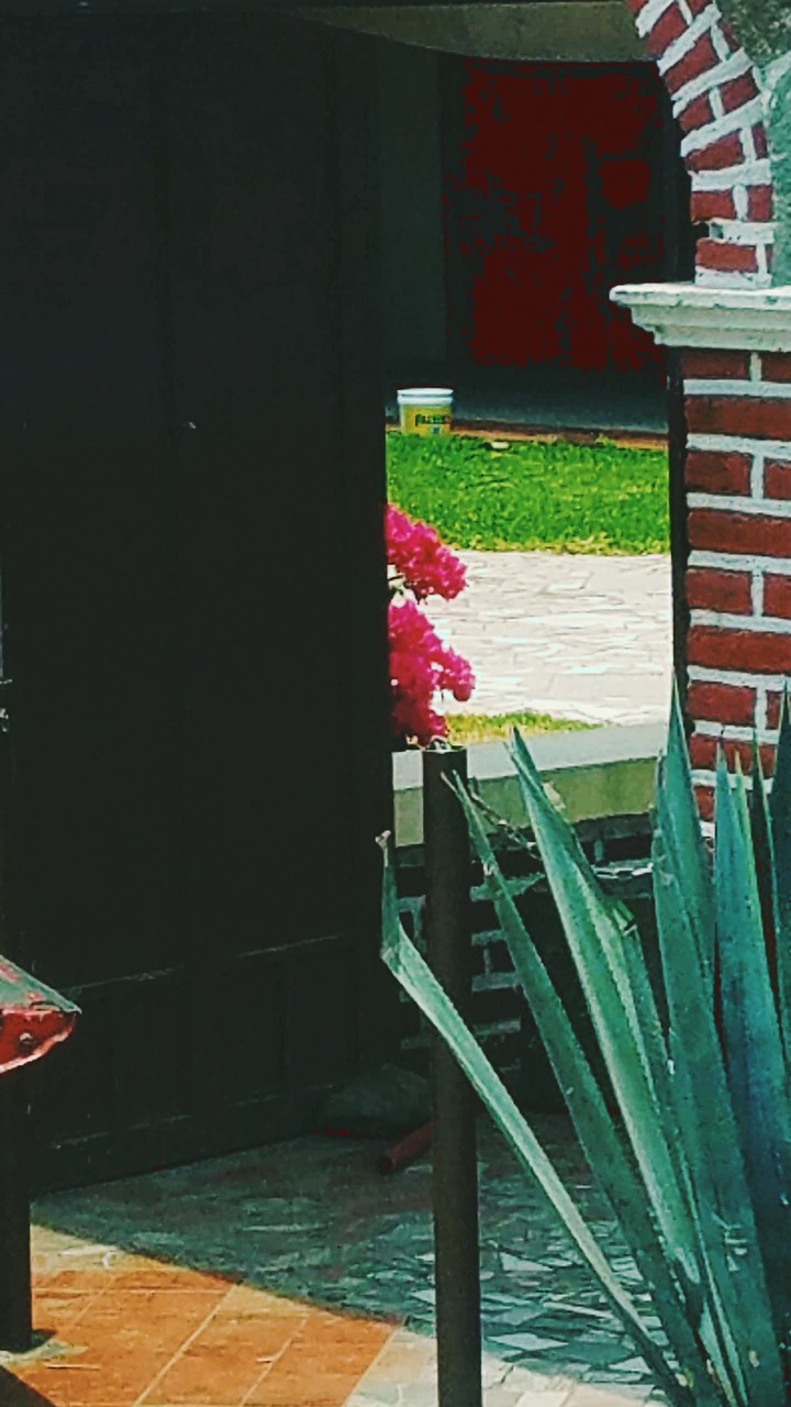 Through the Gate