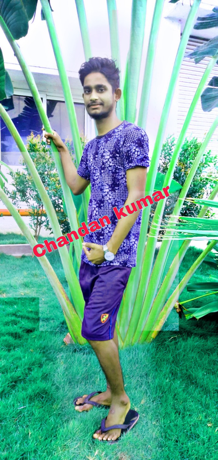 chandan