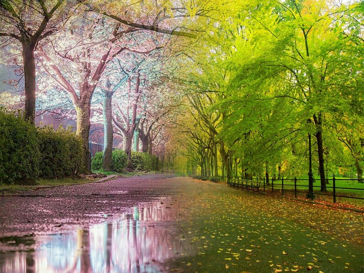 Beautiful Nature