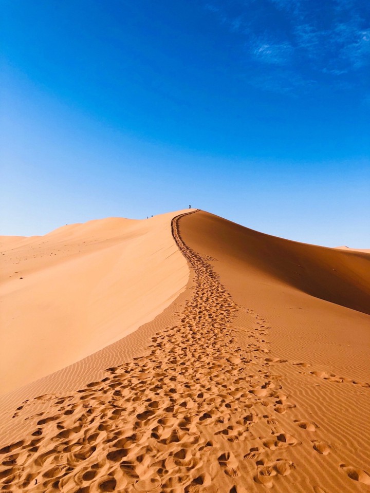 Desert.
