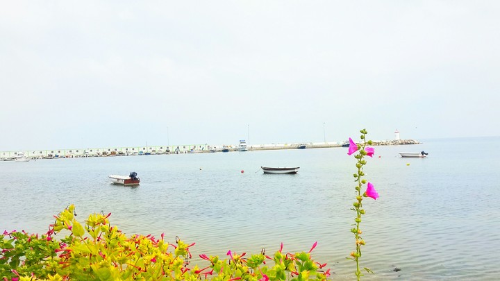 sea