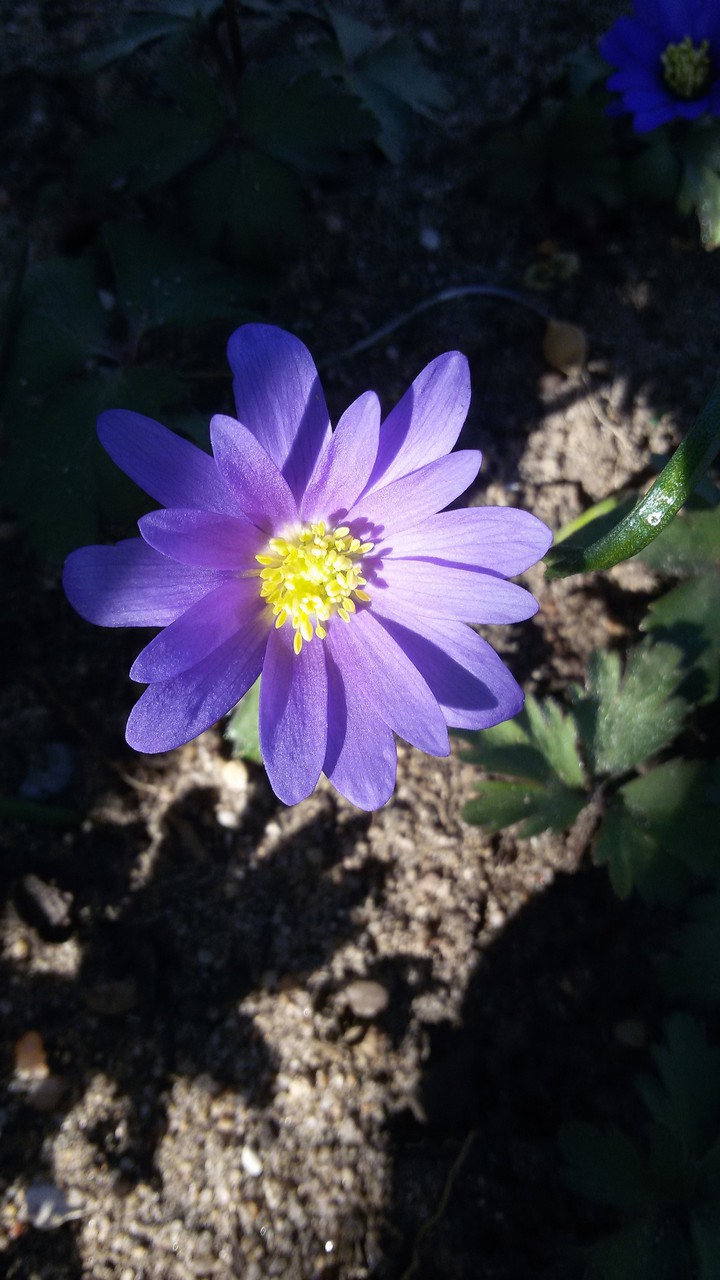 Spring