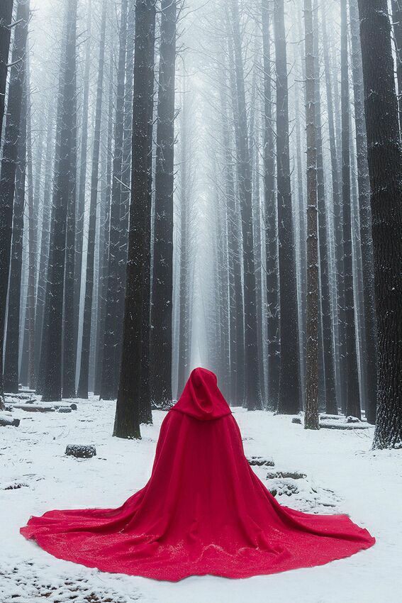 ⚘❤⚘