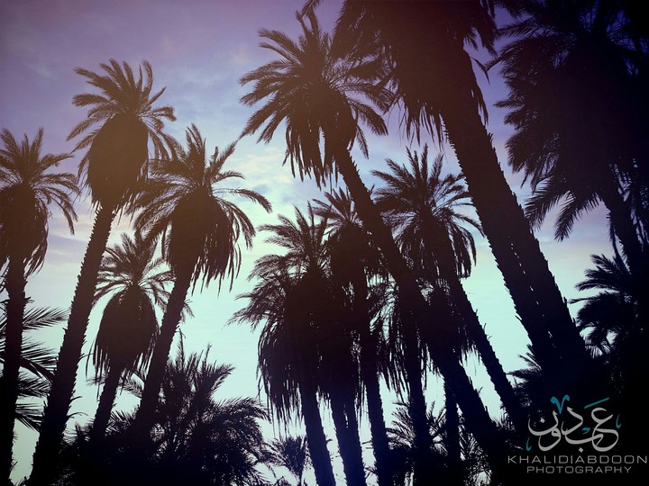 Binna island - sudan