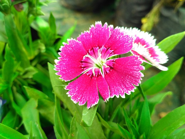 My first photo