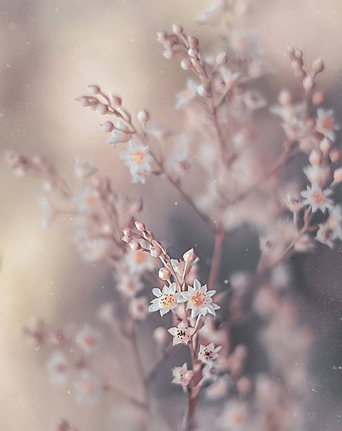 Pastels colors