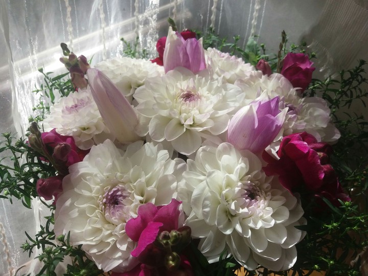 Autumn flowers.