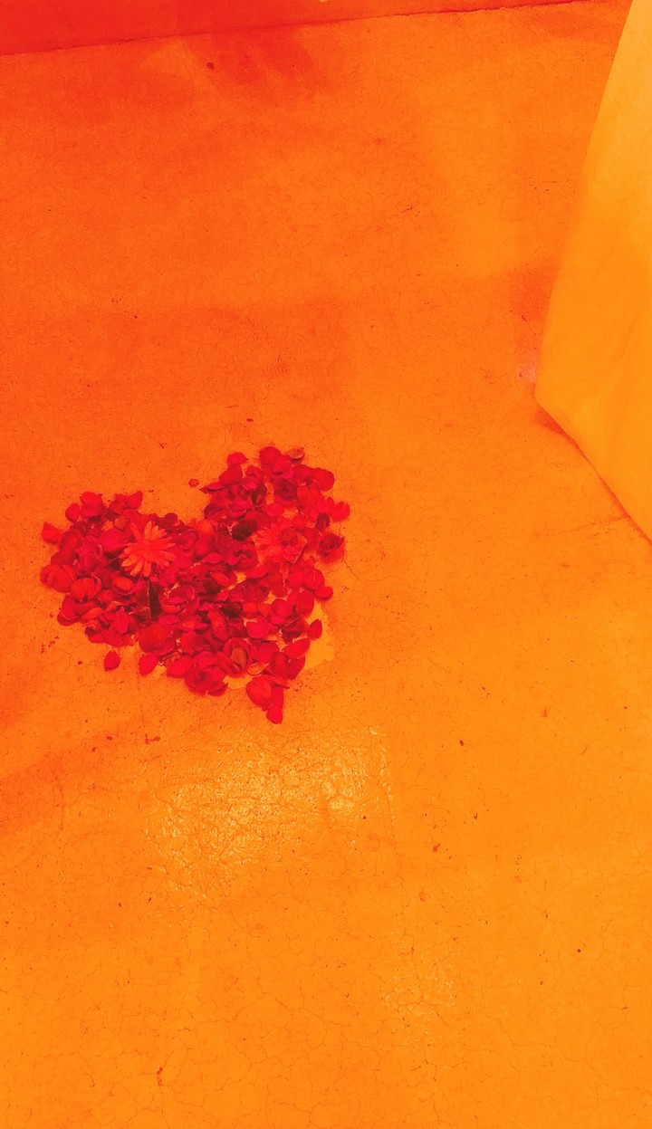 The Heart