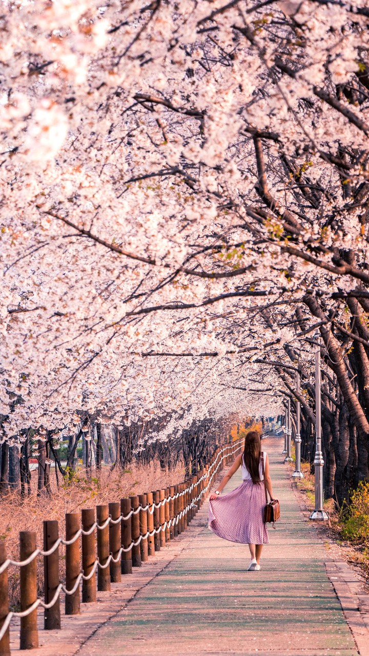 road
