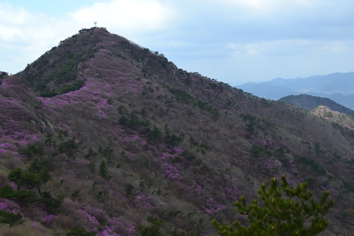 영취산이미지