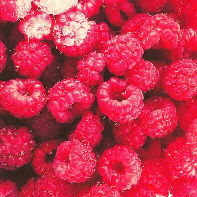 fruits