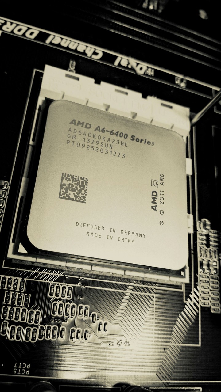 AMD