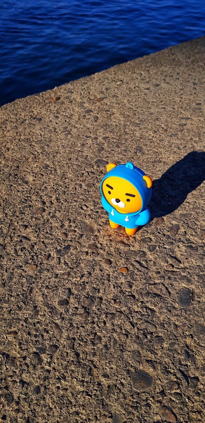 Kakao Lion
