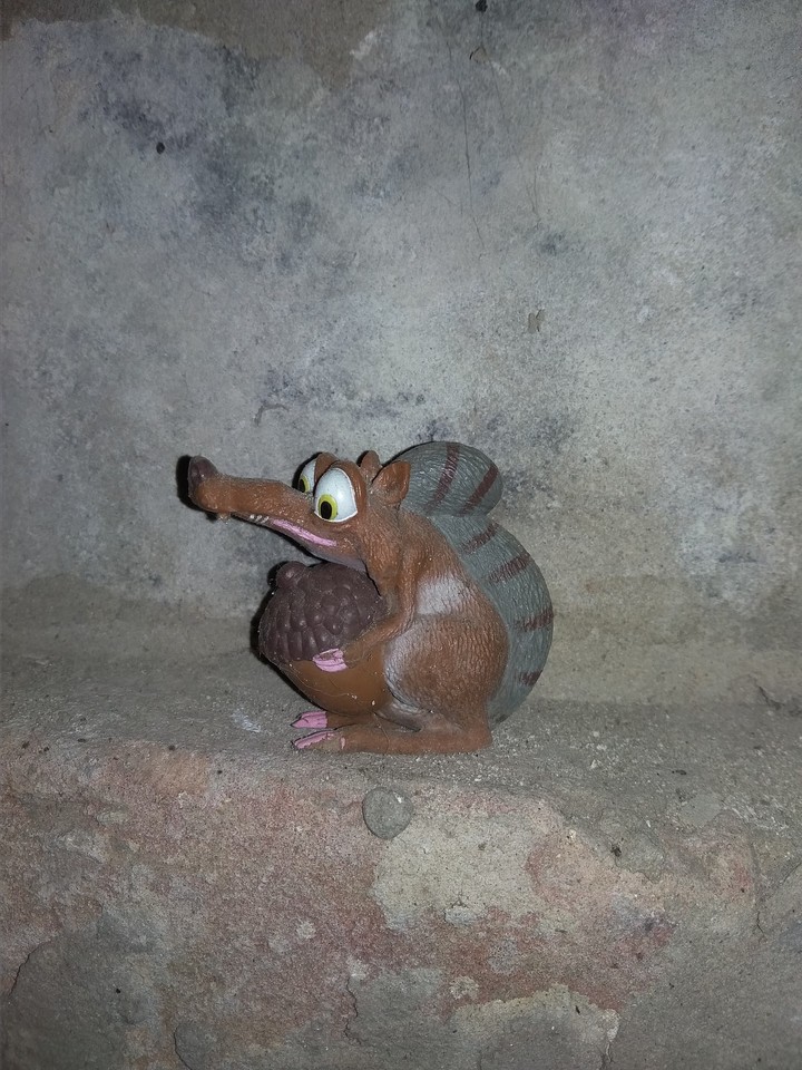 Hungry squirrel