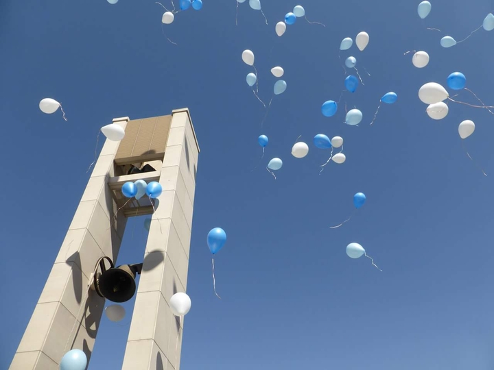 balloons towards the sky